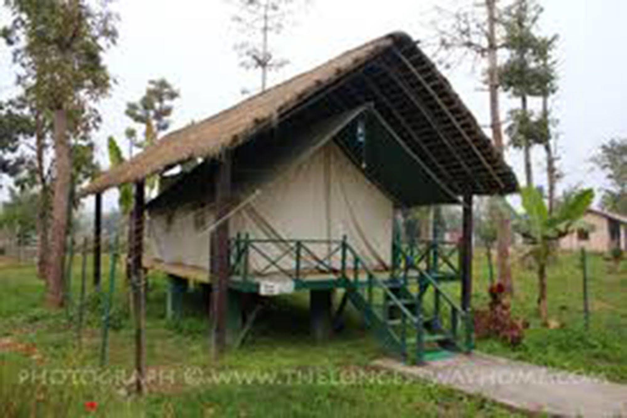 Chitwan Adventure Resort Sauraha Eksteriør bilde