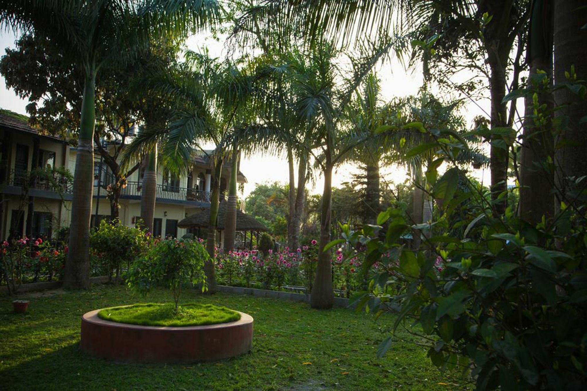 Chitwan Adventure Resort Sauraha Eksteriør bilde