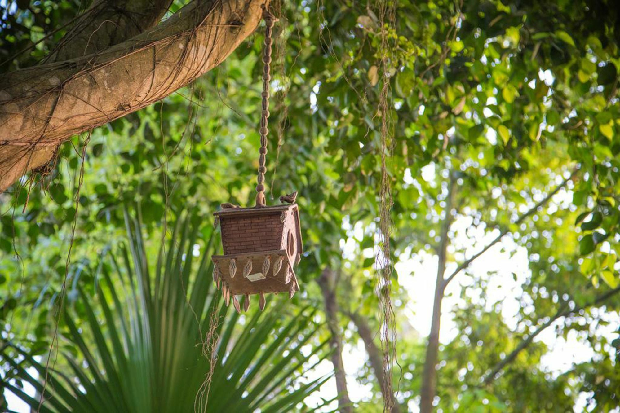 Chitwan Adventure Resort Sauraha Eksteriør bilde